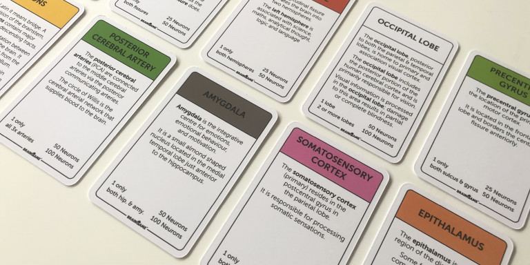 Board game playing cards for the University of Lincoln