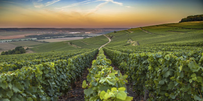 Frignicourt région Champagne