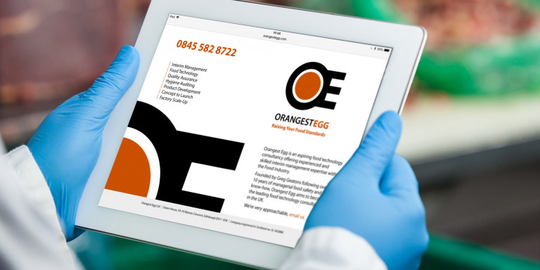Site Web pour Orangest Egg