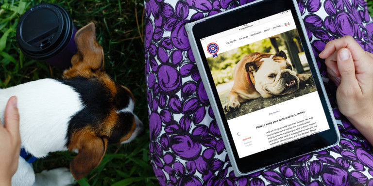 Site vitrine WordPress pour Tango Champ